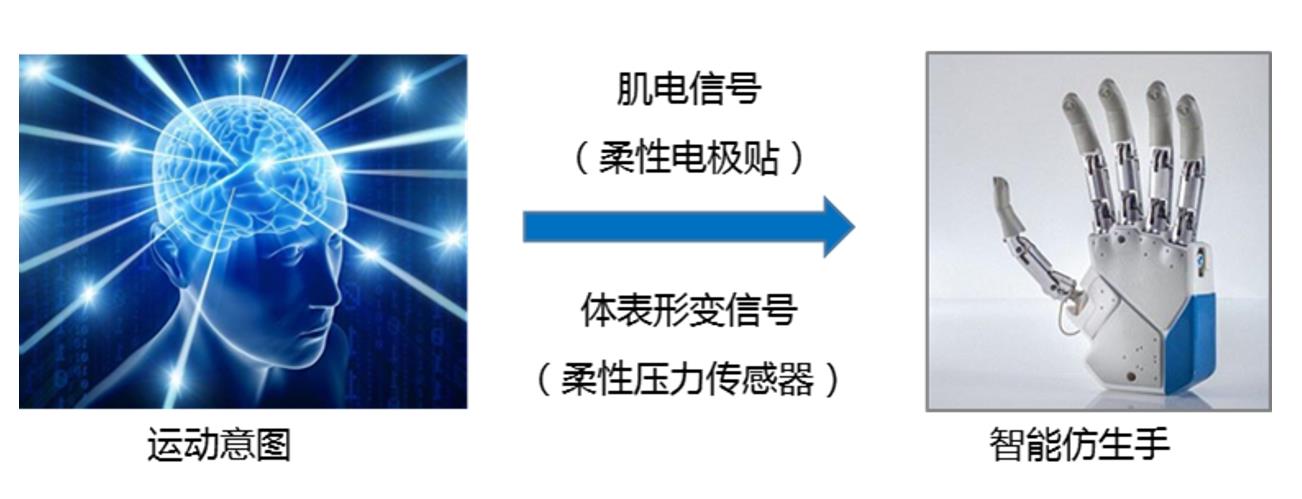 04好消息！柔性压力传感器助力新型仿生手研制.jpg