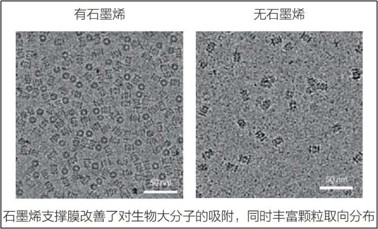 微信截图_20240605092702.jpg
